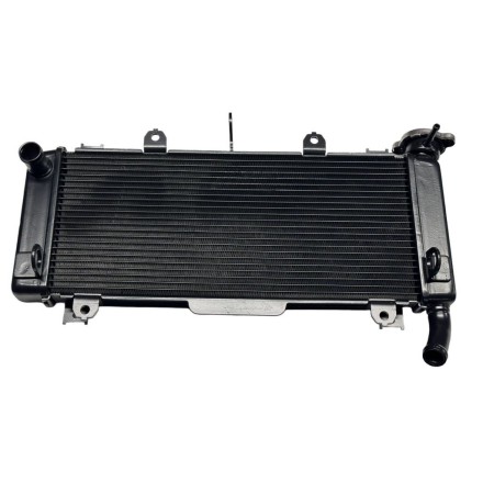 RADIATORE ACQUA REFRIGERANTE RAFFREDDAMENTO MOTORE PER KAWASAKI NINJA 650 "17-20