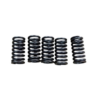 SET 5 MOLLE FRIZIONE MOTORE 31mm Ø15.5 PER KAWASAKI PER HONDA PER SUZUKI PER YAM