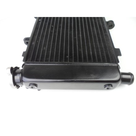 RADIATORE ACQUA RAFFREDDAMENTO LIQUIDO MOTORE ORIGINALE YAMAHA FZ6 2007