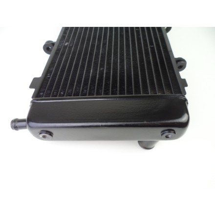RADIATORE ACQUA RAFFREDDAMENTO LIQUIDO MOTORE ORIGINALE YAMAHA FZ6 2007