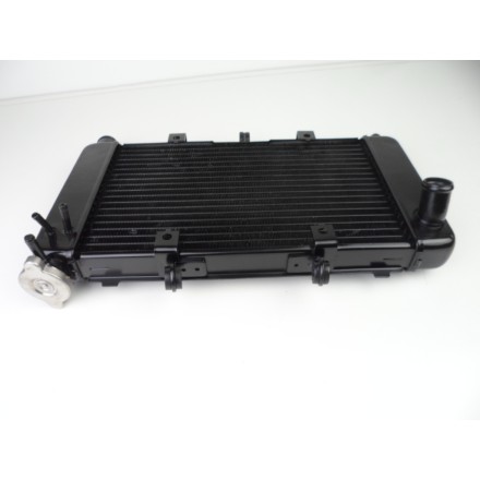 RADIATORE ACQUA RAFFREDDAMENTO LIQUIDO MOTORE ORIGINALE YAMAHA FZ6 2007