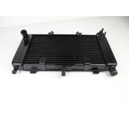 RADIATORE ACQUA RAFFREDDAMENTO LIQUIDO MOTORE ORIGINALE YAMAHA FZ6 2007