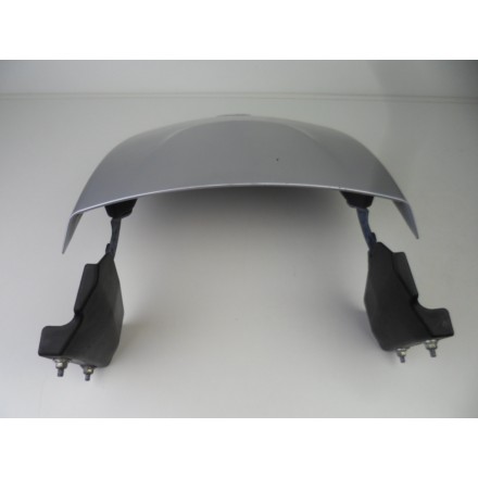CARENA SPORTELLO COVER DEL BAULETTO POSTERIORE ORIGINALE PIAGGIO MP3 250 2007