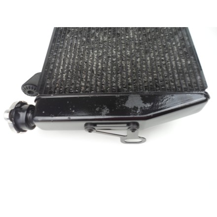 RADIATORE ACQUA LIQUIDO REFRIGERANTE ORIGINALE DUCATI MULTISTRADA 1200 S 2011