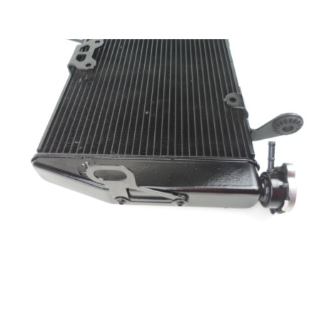 RADIATORE ACQUA LIQUIDO REFRIGERANTE ORIGINALE DUCATI MULTISTRADA 1200 S 2011