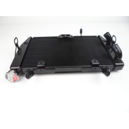 RADIATORE ACQUA LIQUIDO REFRIGERANTE ORIGINALE DUCATI MULTISTRADA 1200 S 2011