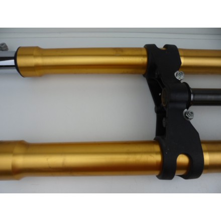 OHLINS SOSPENSIONE ELETTRONICA FORCELLA ANTERIORE DUCATI MULTISTRADA 1200 S 2011