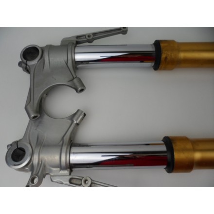 OHLINS SOSPENSIONE ELETTRONICA FORCELLA ANTERIORE DUCATI MULTISTRADA 1200 S 2011