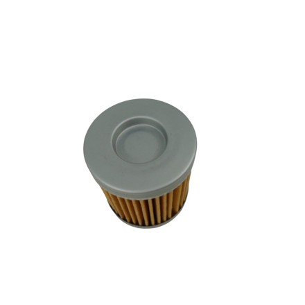 FILTRO OLIO MOTORE PER CAN AM DS 450 EFI DS 450 X (2008-2015)