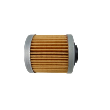 FILTRO OLIO MOTORE PER CAN AM DS 450 EFI DS 450 X (2008-2015)