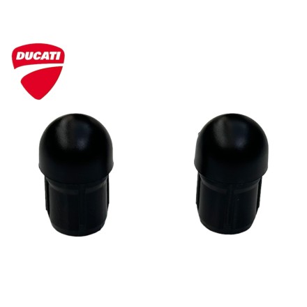 COPPIA PESETTI CONTRAPPESI ORIGINALI DUCATI MONSTER 821 696 795 797 400 600 620 750 900 1000 695 multistrada 620
