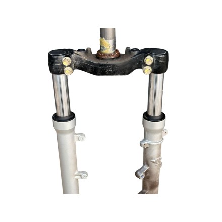 FORCELLA SOSPENSIONE ANTERIORE COMPLETA OEM HONDA PANTHEON 125 (1998-2002) FES