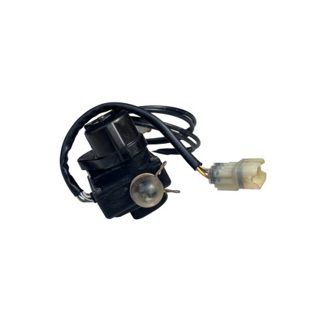 SERVOMOTORE ATTUATORE SCARICO ORIGINALE HONDA PANTHEON 125 FES (1998-2002)
