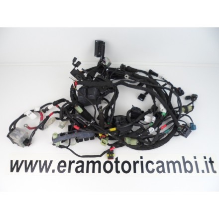IMPIANTO CABLAGGIO GRUPPO ELETTRICO COMPLETO DUCATI MONSTER 821 2015