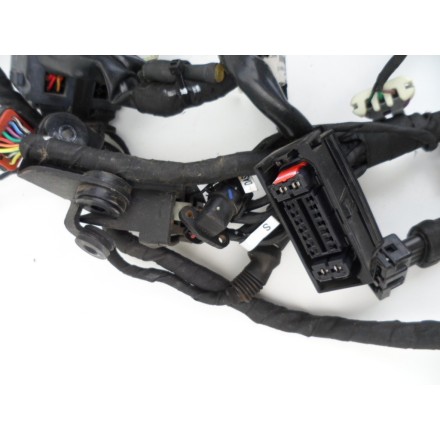 IMPIANTO CABLAGGIO GRUPPO ELETTRICO COMPLETO DUCATI MONSTER 821 2015