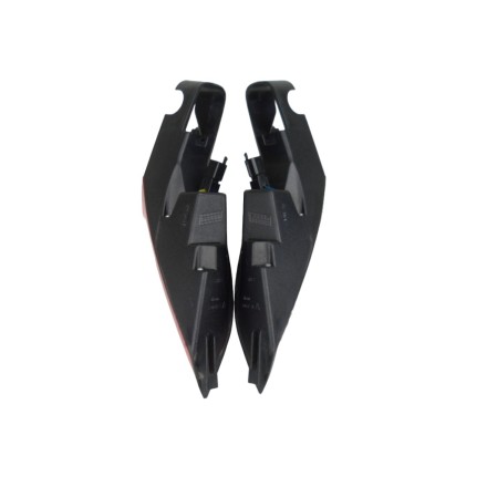 TRIOM COPPIA FANALI FARI POSTERIORI ORIGINALI PEUGEOT SATELIS 250 (2006-2013)