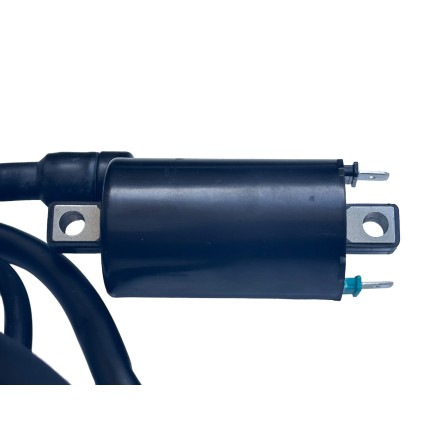 BOBINA AVVIAMENTO PER APRILIA PER SUZUKI PER MOTO GUZI PER DUCATI PER YAMAHA (VEDERE DESCRIZIONE PER APPLICAZIONI)