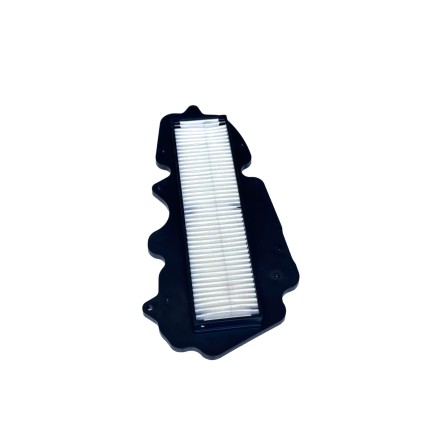 ELEMENTO FILTRO ARIA AIRBOX PER PIAGGIO VESPA 125 150 S/LX/ Touring 3V (2012-14)