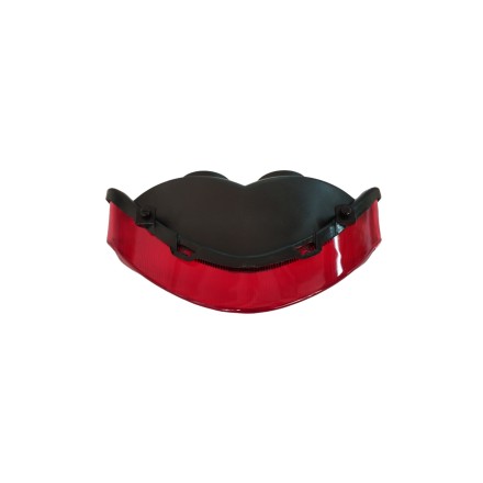 GRUPPO FARO FANALE LUCE STOP POSTERIORE PER HONDA CBR 900 (2000-2001)
