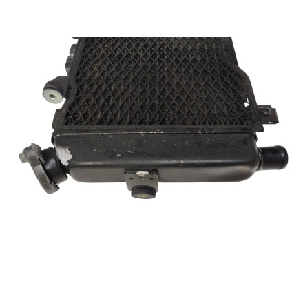 RADIATORE ACQUA LIQUIDO RAFFREDDAMENTO MOTORE ORIGINALE YAMAHA TDM 850 2002