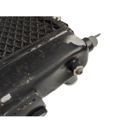 RADIATORE ACQUA LIQUIDO RAFFREDDAMENTO MOTORE ORIGINALE YAMAHA TDM 850 2002