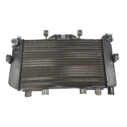 RADIATORE ACQUA LIQUIDO RAFFREDDAMENTO MOTORE ORIGINALE YAMAHA TDM 850 2002