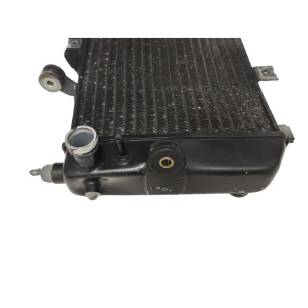 RADIATORE ACQUA LIQUIDO RAFFREDDAMENTO MOTORE ORIGINALE YAMAHA TDM 850 2002