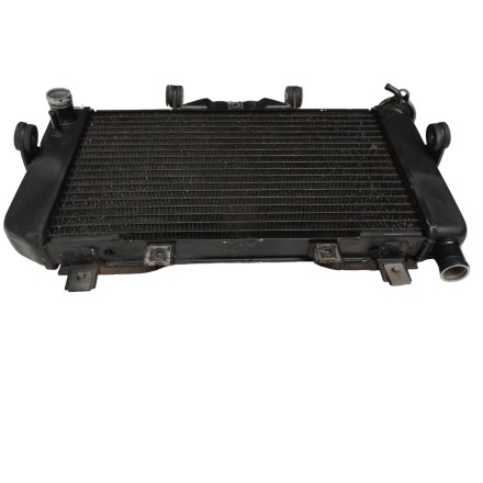 RADIATORE ACQUA LIQUIDO RAFFREDDAMENTO MOTORE ORIGINALE YAMAHA TDM 850 2002