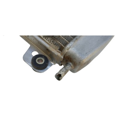 RADIATORE RAFFREDDAMENTO ACQUA LIQUIDO MOTORE ORIGINALE PIAGGIO X9 250 2000