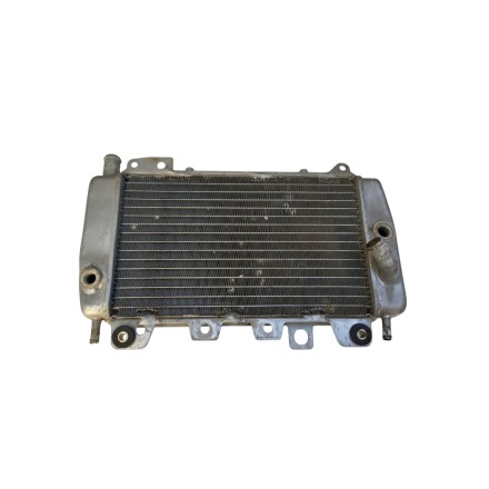 RADIATORE RAFFREDDAMENTO ACQUA LIQUIDO MOTORE ORIGINALE PIAGGIO X9 250 2000