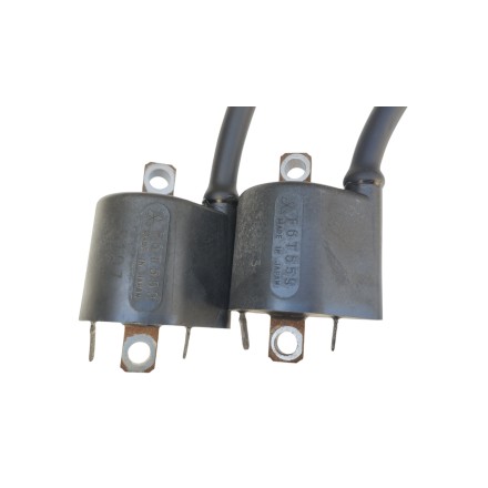 SUZUKI DL 1000 V-STROM 2002 COPPIA BOBINE PIPETTE AVVIAMENTO MOTORE ORIGINALI