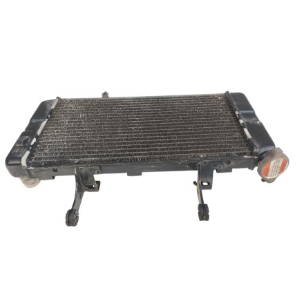 SUZUKI DL 1000 V-STROM 2002 RADIATORE RAFFREDDAMENTO ACQUA MOTORE ORIGINALE