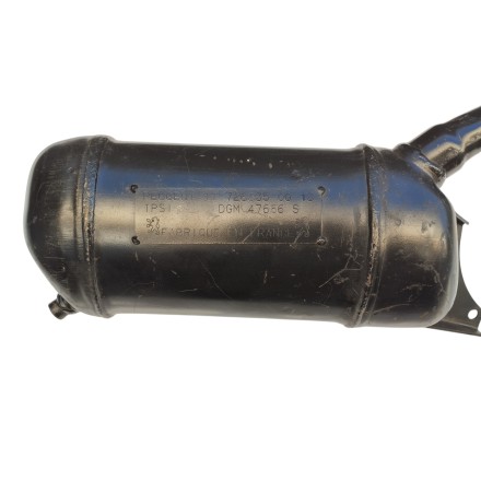 117266350013 SCARICO MARMITTA PEUGEOT SV 50 Roller Type F502 / Hercules SR50 cc
