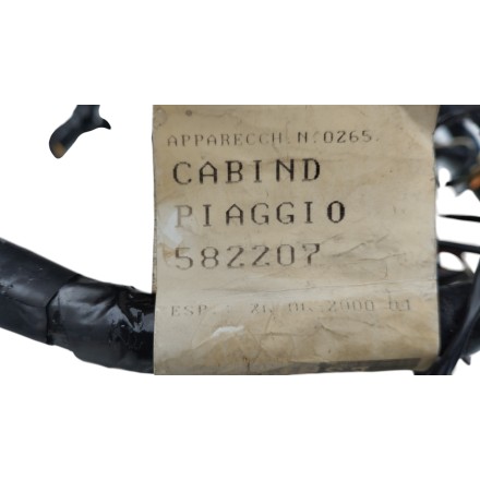 IMPIANTO CABLAGGIO GRUPPO ELETTRICO ORIGINALE PIAGGIO X9 250 (2000-2002)