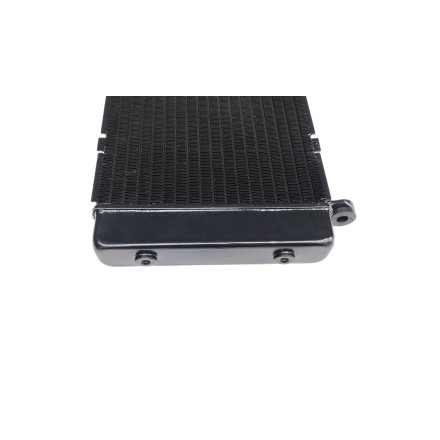 RADIATORE ACQUA RAFFREDDAMENTO LIQUIDO MOTORE PER HONDA CBF 900 Hornet 2002-2006