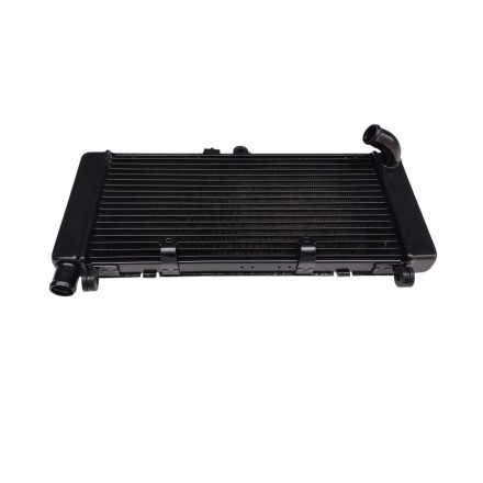RADIATORE ACQUA RAFFREDDAMENTO LIQUIDO MOTORE PER HONDA CBF 900 Hornet 2002-2006