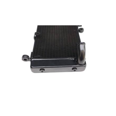RADIATORE ACQUA RAFFREDDAMENTO LIQUIDO MOTORE PER HONDA CBF 900 Hornet 2002-2006