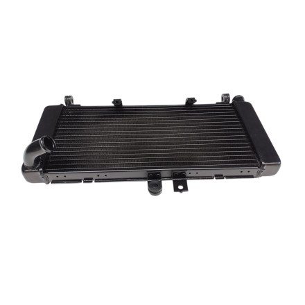 RADIATORE ACQUA RAFFREDDAMENTO LIQUIDO MOTORE PER HONDA CBF 900 Hornet 2002-2006