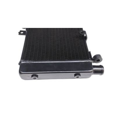 RADIATORE ACQUA RAFFREDDAMENTO LIQUIDO MOTORE PER HONDA CBF 900 Hornet 2002-2006