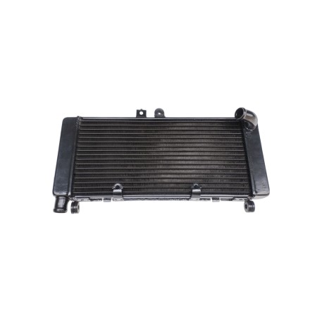 RADIATORE ACQUA RAFFREDDAMENTO LIQUIDO MOTORE PER HONDA CBF 900 Hornet 2002-2006