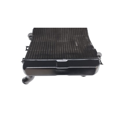 RADIATORE ACQUA RAFFREDDAMENTO LIQUIDO PER SUZUKI GSX 1300 R Hayabusa 1999-2007