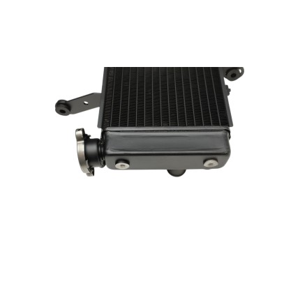 RADIATORE ACQUA RAFFREDDAMENTO LIQUIDO MOTORE PER SUZUKI SV 650 (2003-2007)