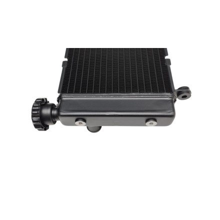 RADIATORE ACQUA RAFFREDDAMENTO LIQUIDO PER HONDA CB 600 F Hornet (1998-2006)