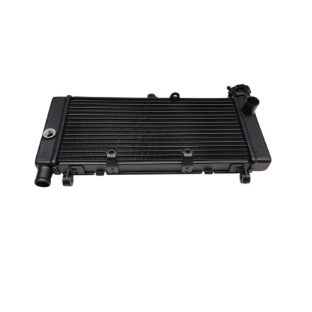 RADIATORE ACQUA RAFFREDDAMENTO LIQUIDO PER HONDA CB 600 F Hornet (1998-2006)