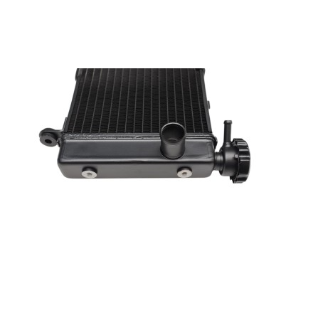 RADIATORE ACQUA RAFFREDDAMENTO LIQUIDO PER HONDA CB 600 F Hornet (1998-2006)