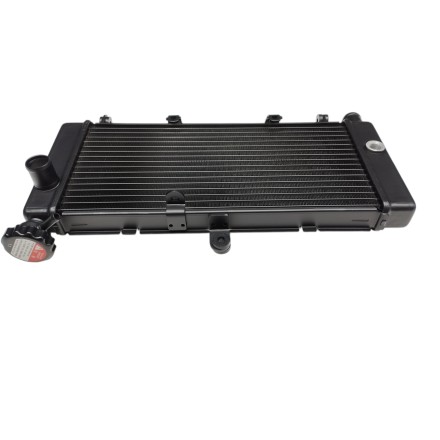 RADIATORE ACQUA RAFFREDDAMENTO LIQUIDO PER HONDA CB 600 F Hornet (1998-2006)