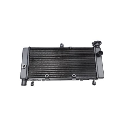 RADIATORE ACQUA RAFFREDDAMENTO LIQUIDO PER HONDA CB 600 F Hornet (1998-2006)