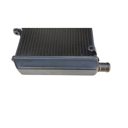 RADIATORE ACQUA RAFFREDDAMENTO LIQUIDO PER HONDA CB 600 F Hornet (2007-2013)