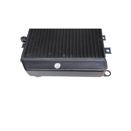 RADIATORE ACQUA RAFFREDDAMENTO LIQUIDO PER KAWASAKI Z-1000 Z1000 (2003-2006)