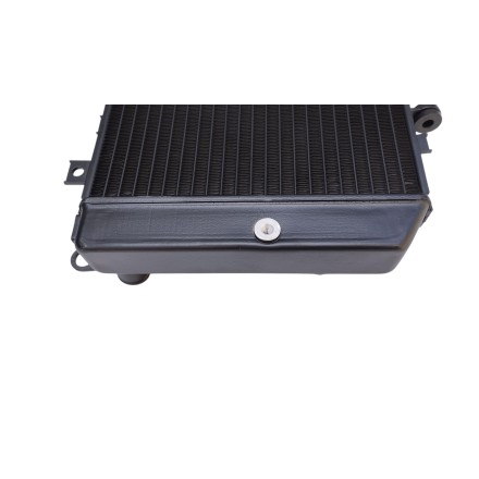 RADIATORE ACQUA RAFFREDDAMENTO LIQUIDO PER KAWASAKI Z-1000 Z1000 (2003-2006)